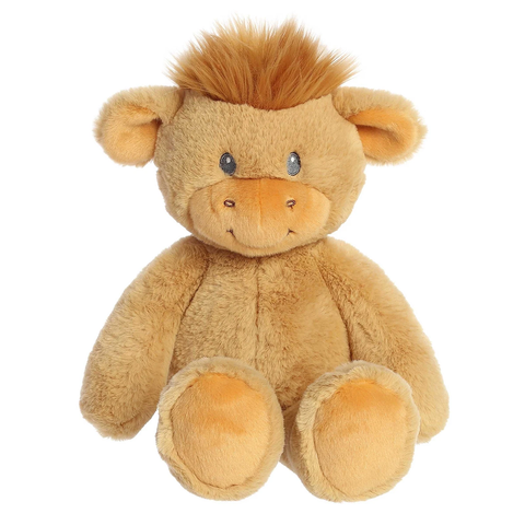Highland Cow